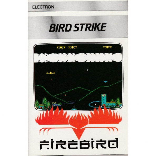 Bird Strike