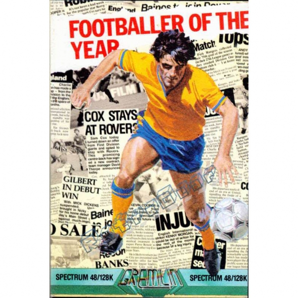 Footballer of the Year