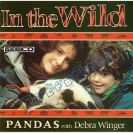In The Wild - Pandas