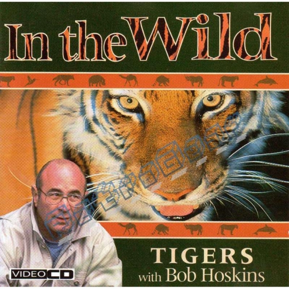 In The Wild - Tigers